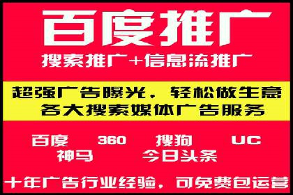 SEM搜索引擎优化案例：如何提升网站流量和转化率